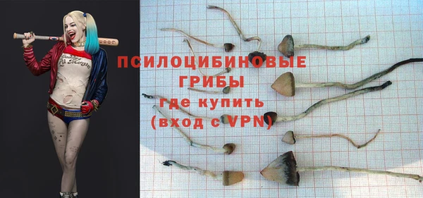 Альфа ПВП Козловка