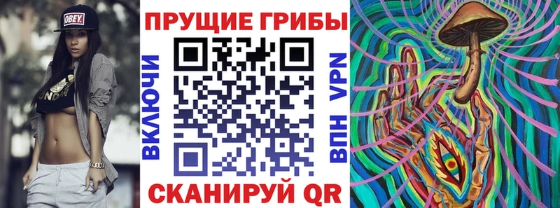 купить наркоту  блэк спрут ONION  Галлюциногенные грибы прущие грибы  Дыгулыбгей 